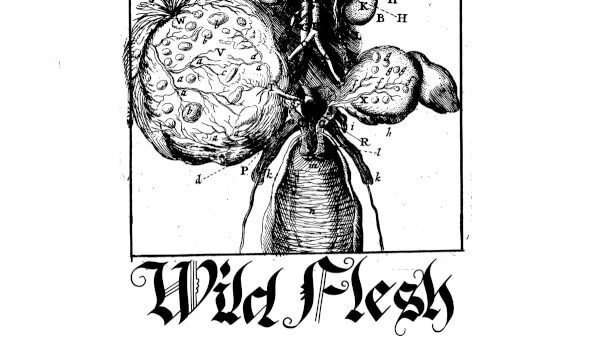 Wild Flesh [session with the designer]